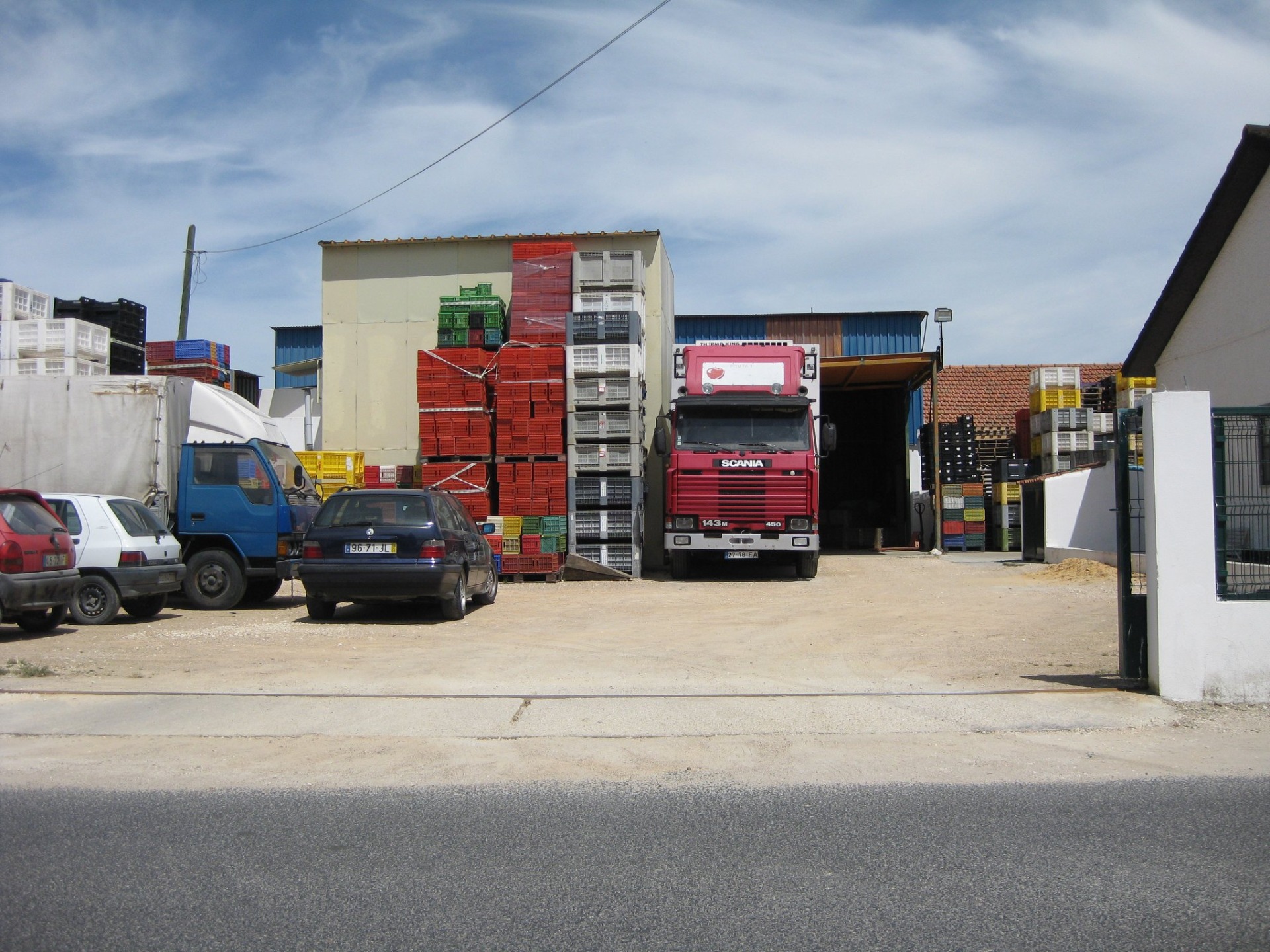 Manuel Costa, Comércio de Frutas